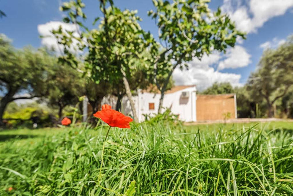 Charming Hideaway - Self Check-in Alghero